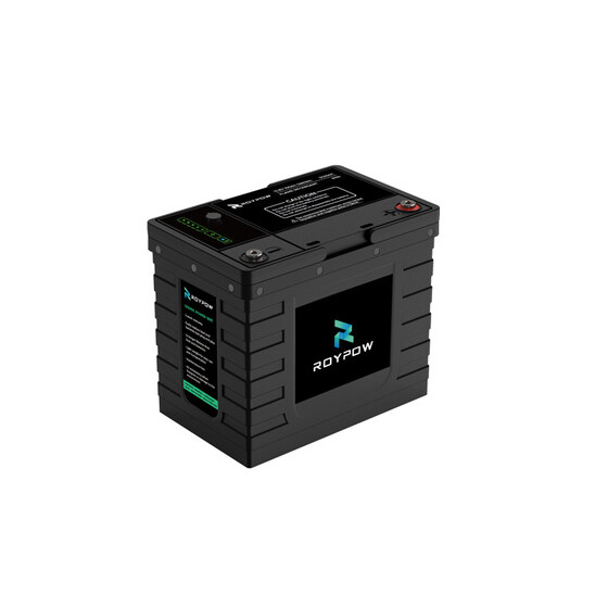 RoyPow Lithium-Batterie LifePO4