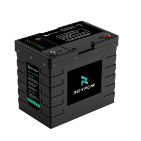RoyPow Lithium-Batterie LifePO4